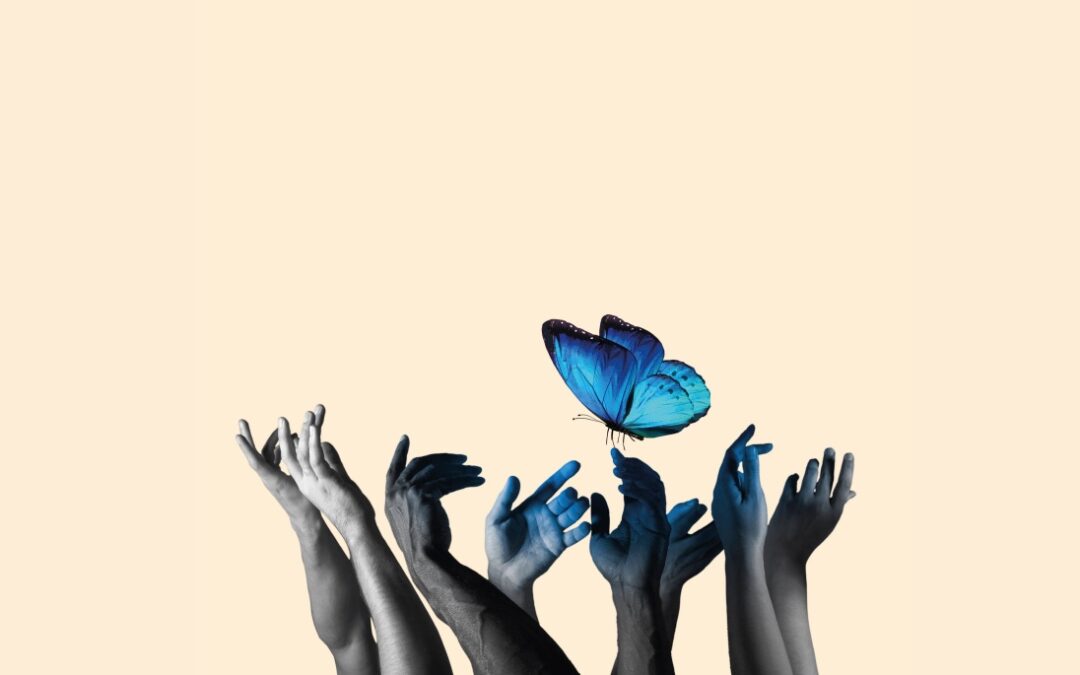 Presentación del libro Una mariposa en el café